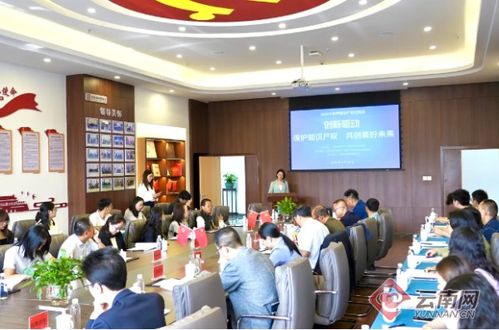 创新驱动,保护知识产权,共创美好未来 座谈会在昆明举办