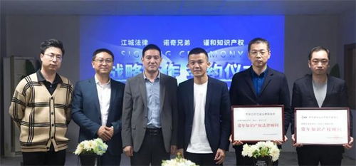 推动创新 诺奇兄弟实施知识产权保护战略