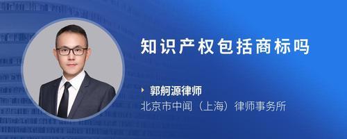 请问互联网产品的知识产权包括源代码吗?